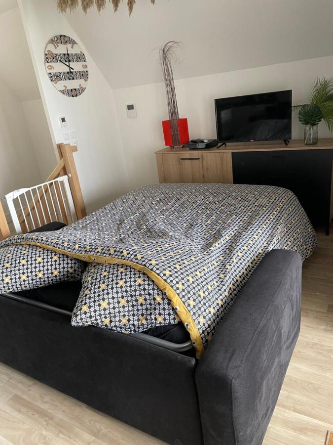 Bel Appartement « The Lion King » Proche Disney Montévrain Extérieur photo